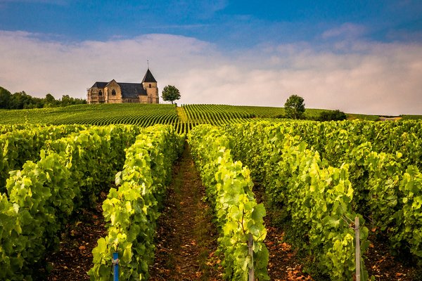 Comment préparer une visite des vignobles en Bourgogne, France?
