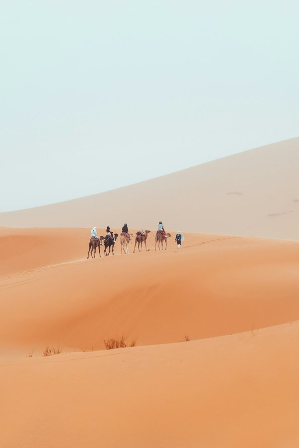 Comment réussir un trek dans la vallée de l'Annapurna, Népal ?